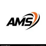 AMS Finance & Management company logo