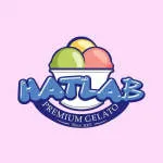 Hatlab Ice Cream Delite Limited company logo