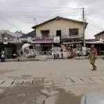 Octavia pharmacy, 33 Okuta Road Bariga, Lagos company logo