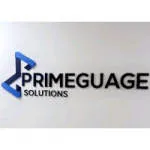 Primeguage Solutions Limited company logo