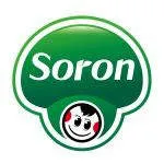 Soron stores company logo