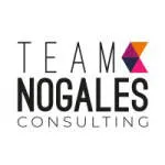 T.N Consulting company logo