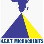 NEAT Microcredit company logo