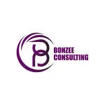 Bonzee Consulting company logo