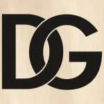 DiggeoNaija company logo