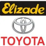 Elizade Nigeria Limited company logo