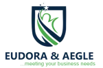 Eudora & Aegle Management Consulting company logo