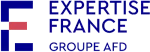 Expertise France company logo