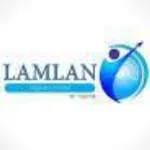 Lamlan Digital Solutions Limited company logo