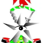 Nigeria Custom Service company logo