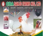 Obasanjo Farms Nigeria Limited company logo