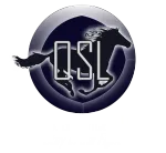 Quick Services LLC company logo