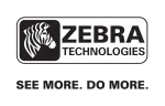 Zebra Footwear company logo