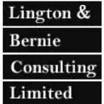 Lington & Bernie Consulting Limited company icon