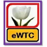 White Tulip Consulting Limited company icon