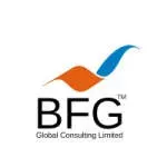 BFG Global Consulting, LLC. company icon