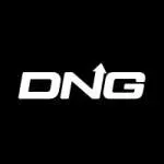 DNG Media world company icon