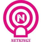 NETKINGS company icon