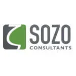 Suzo Consulting company icon