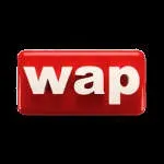 Wale Adenuga Productions company icon
