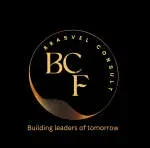 Brasvel Consult company icon