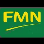 Flour Mills of Nigeria company icon