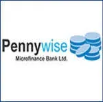 Pennywise microfinance bank company icon