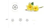 Plumeria Fragrance Limited company icon