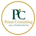 Prime56 Consulting LTD company icon