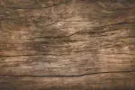 The Wood Factory Limited company icon