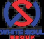White Soul Group company icon