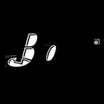 silvabass clinics and bass accesories company icon