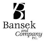 Bansek Nigeria Enterprises company icon