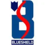 Blueshield Computer company icon