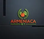 Deserialize company icon