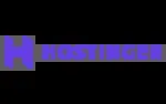 Hostinger company icon