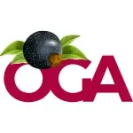 Oga Accountant Business Services company icon