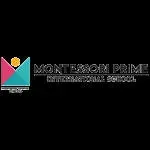 Prime Montessori School company icon