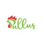 Pullus Africa Solutions company icon