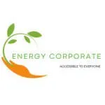 Rayonnance Energy FZE company icon