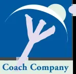 SCAACH company icon