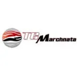TGM Education is an international agency that… company icon