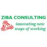 Zibac Consulting company icon