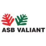 ASB Valiant Company Limited company icon