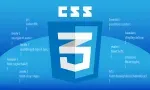 CSS Group, Nigeria company icon