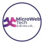 MicroWeb Tech company icon