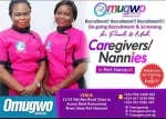 Omugwo.ng Services Limited company icon