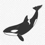 Orca Communications company icon