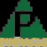 Pinnacle Digital Resources Limited company icon
