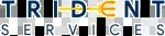 Trydnt Services company icon